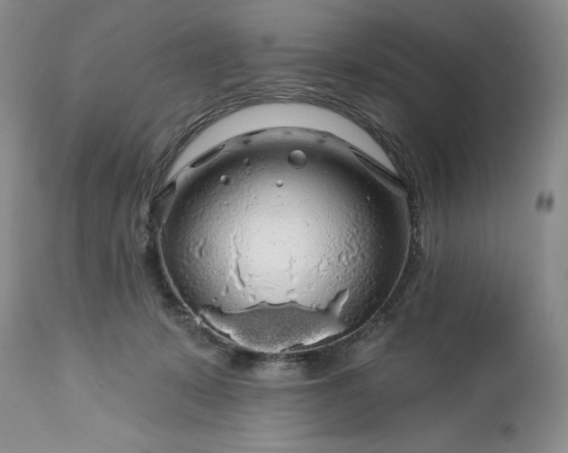 X0000113580319200910021659