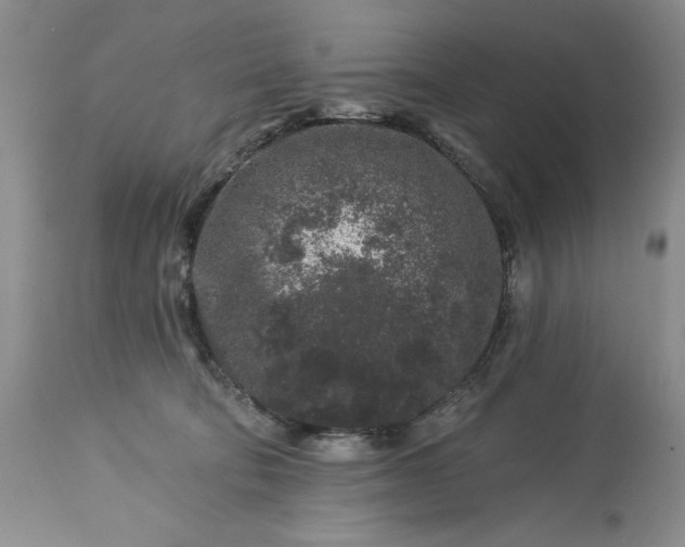 X0000113580322200910021659