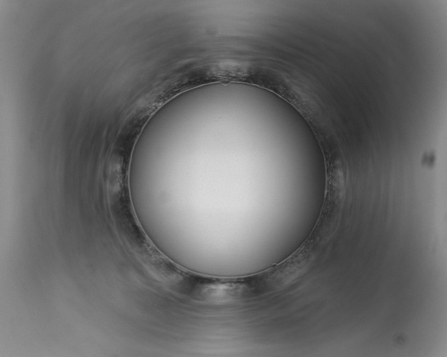 X0000113580323200910021659