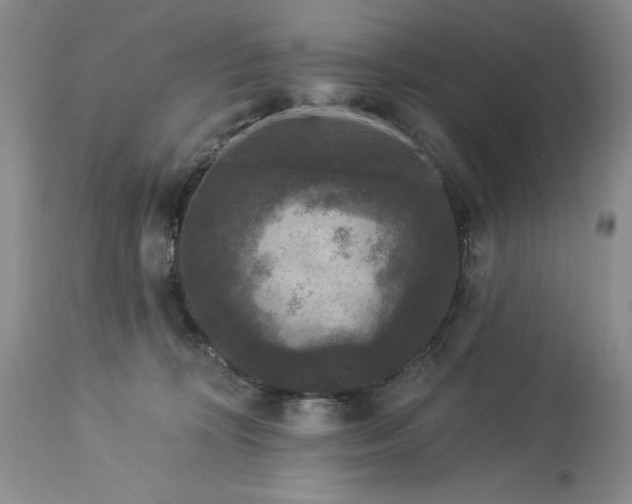 X0000113580324200910021659