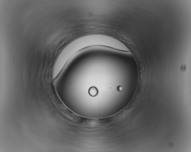 X0000113580325200910021659