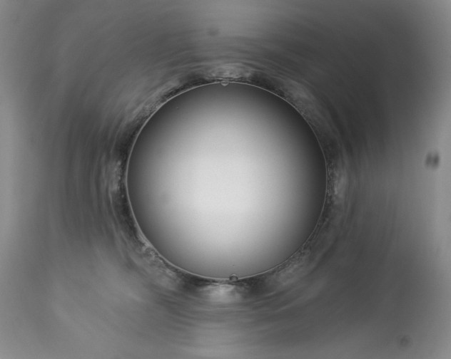 X0000113580326200910021659