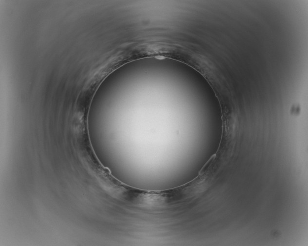 X0000113580327200910021659