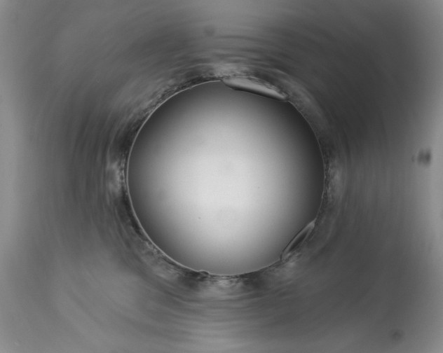 X0000113580329200910021659