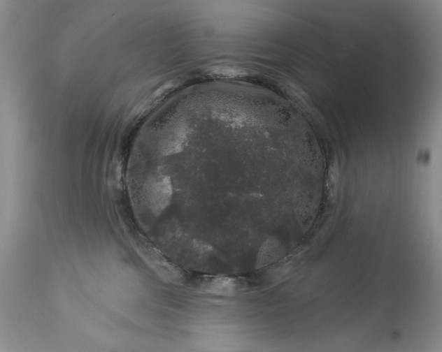 X0000113580330200910021659