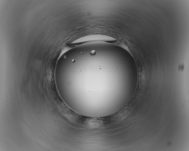 X0000113580331200910021659