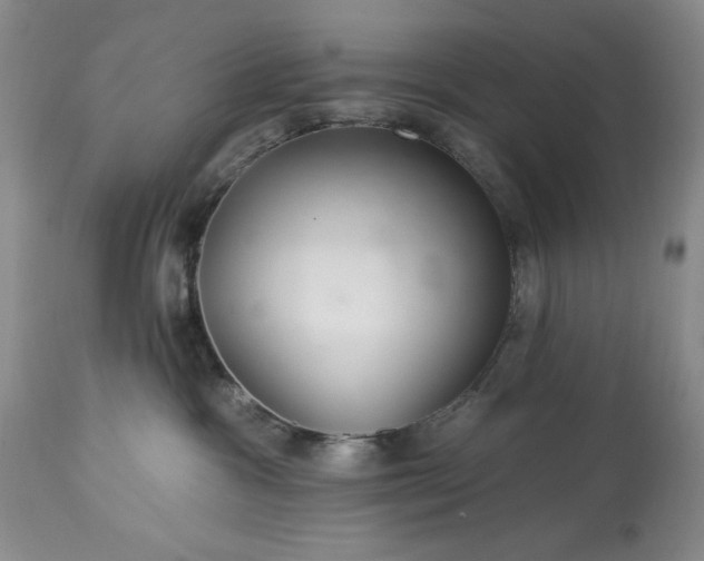 X0000113580333200910021659