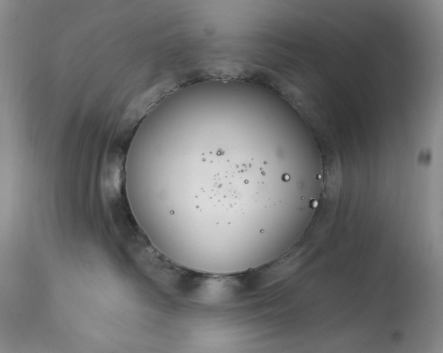 X0000113580334200910021659