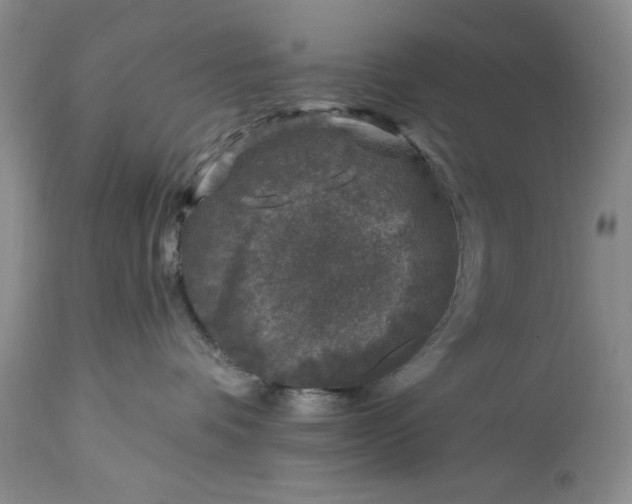 X0000113580336200910021659