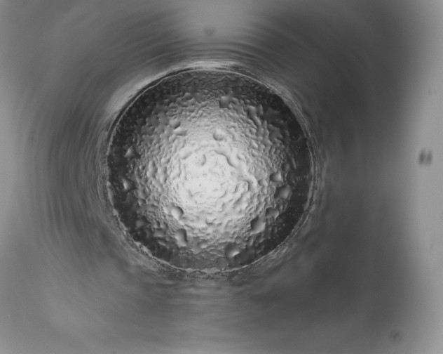 X0000113580337200910021658