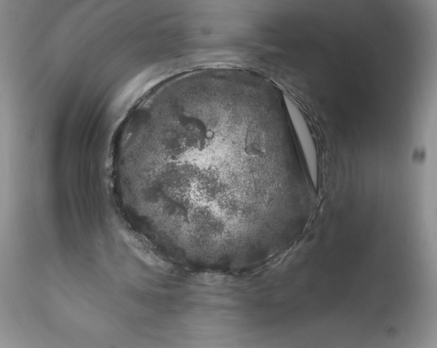 X0000113580339200910021658