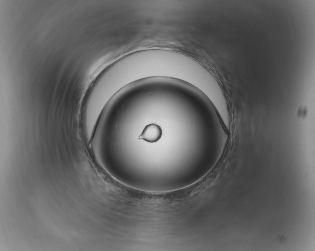 X0000113580340200910021658