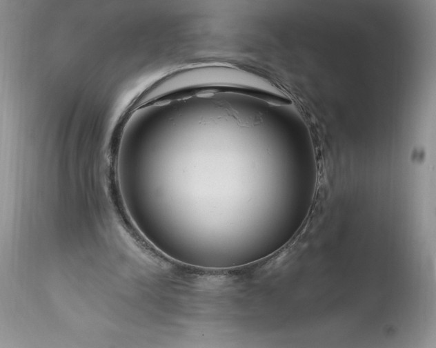 X0000113580342200910021658