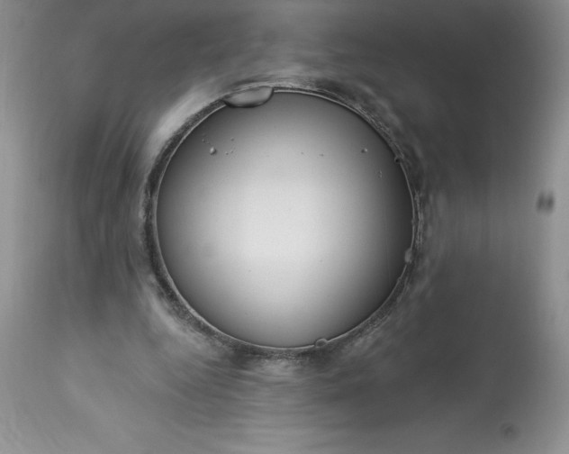 X0000113580344200910021658