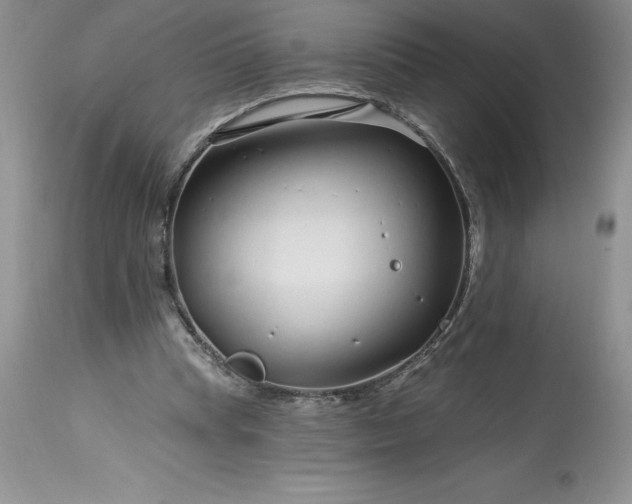 X0000113580345200910021658