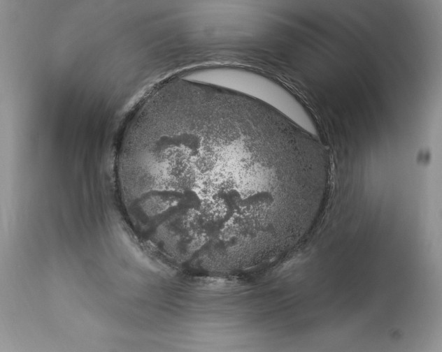 X0000113580347200910021658