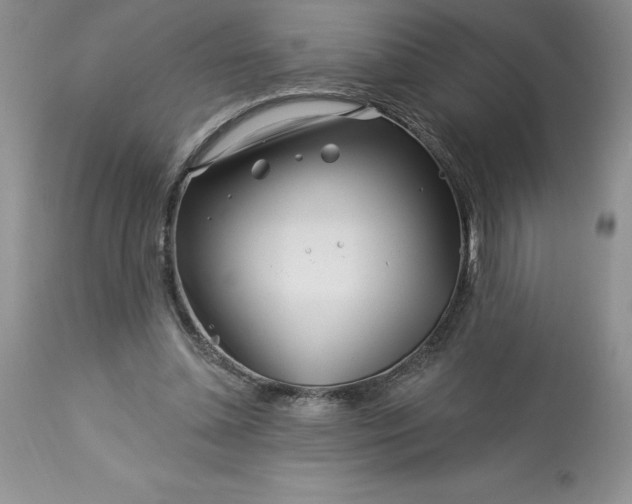 X0000113580348200910021658