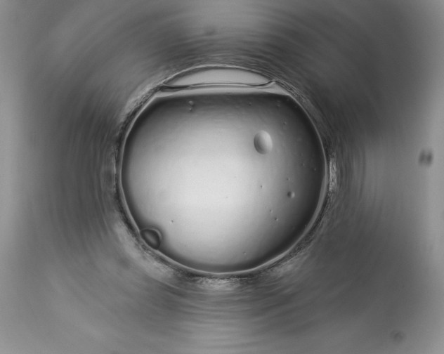 X0000113580349200910021658