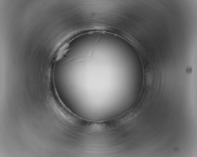 X0000113580350200910021658