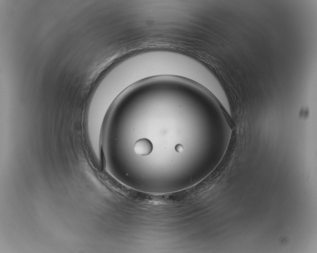 X0000113580352200910021658