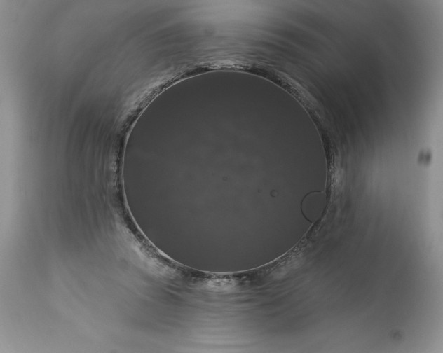 X0000113580353200910021658