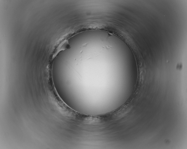 X0000113580354200910021658