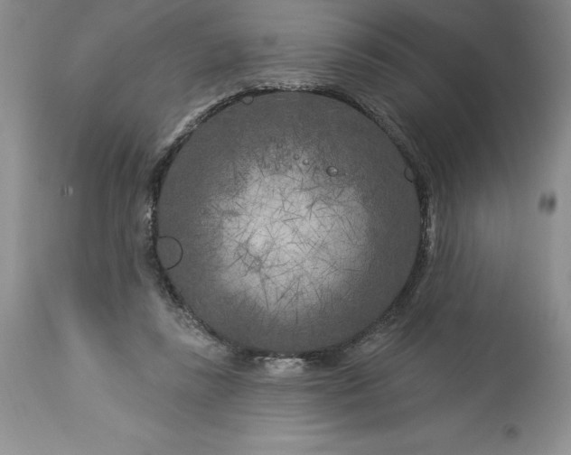 X0000113580355200910021658