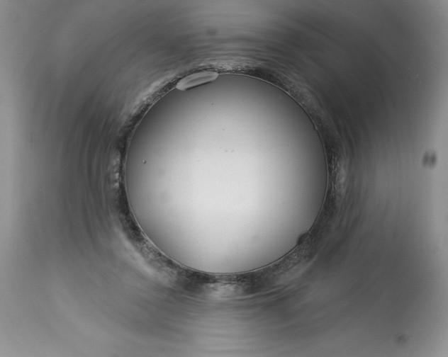 X0000113580356200910021658