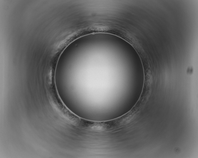 X0000113580358200910021658