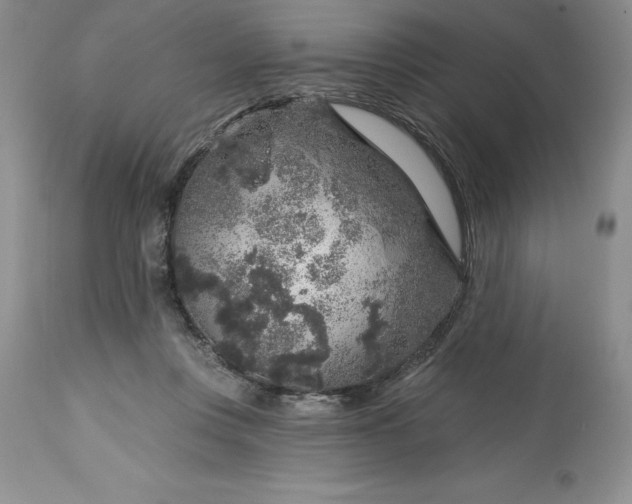 X0000113580359200910021658