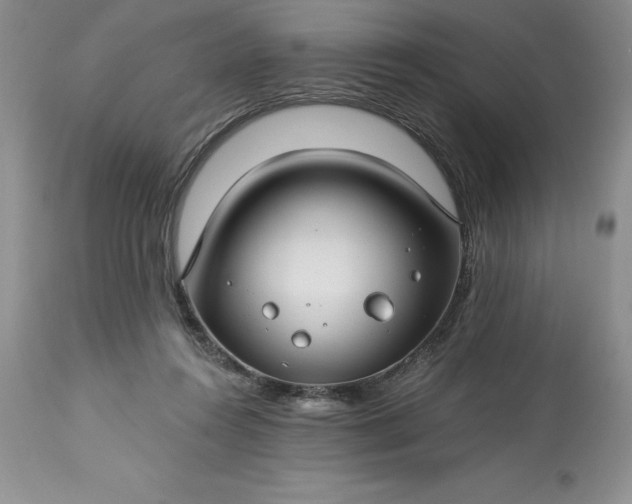 X0000113580360200910021658