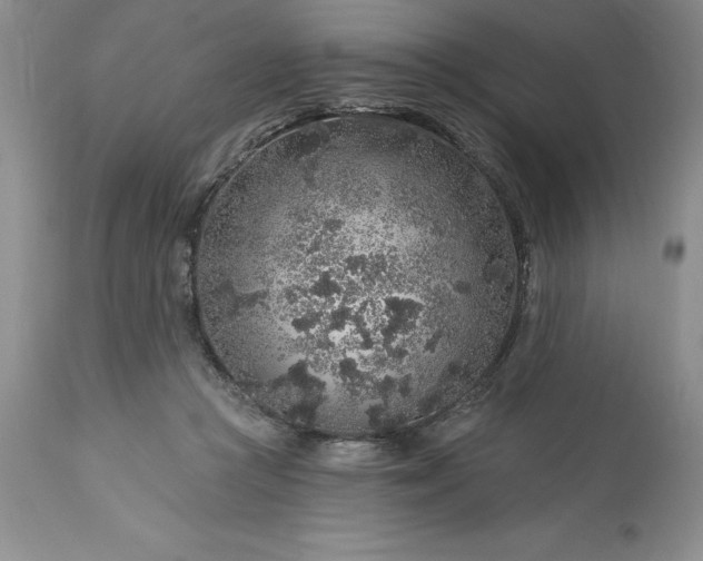 X0000113580361200910021658