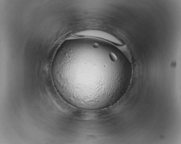 X0000113580363200910021658