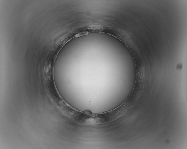 X0000113580364200910021658