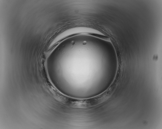 X0000113580366200910021658