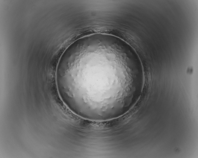 X0000113580367200910021658