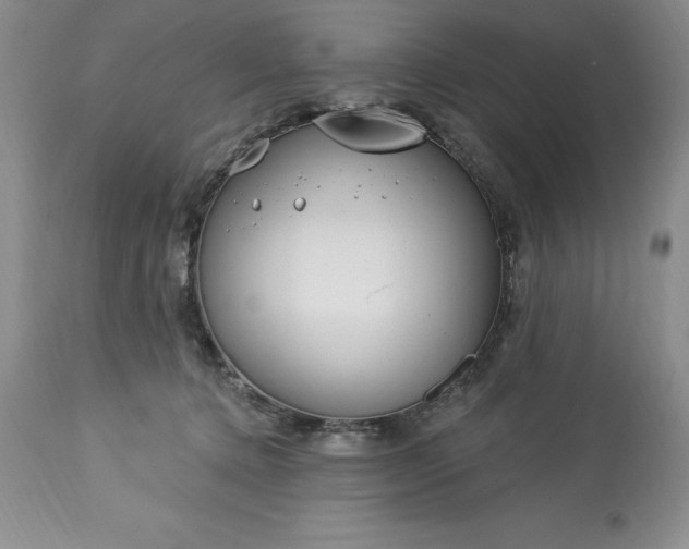 X0000113580368200910021658