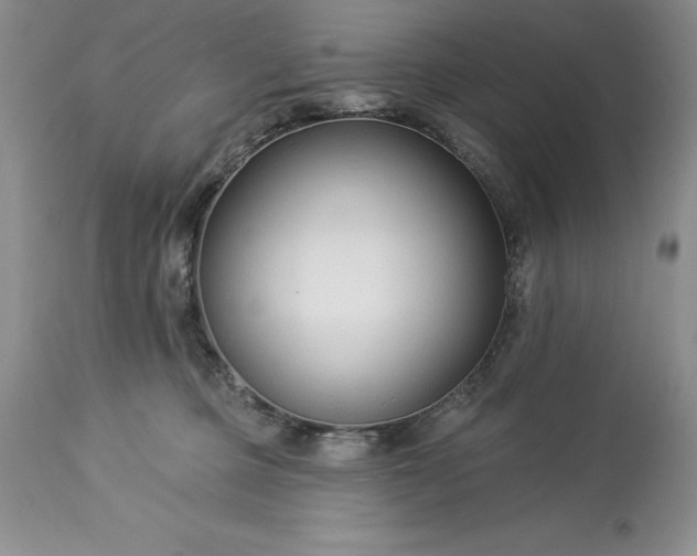 X0000113580373200910021659