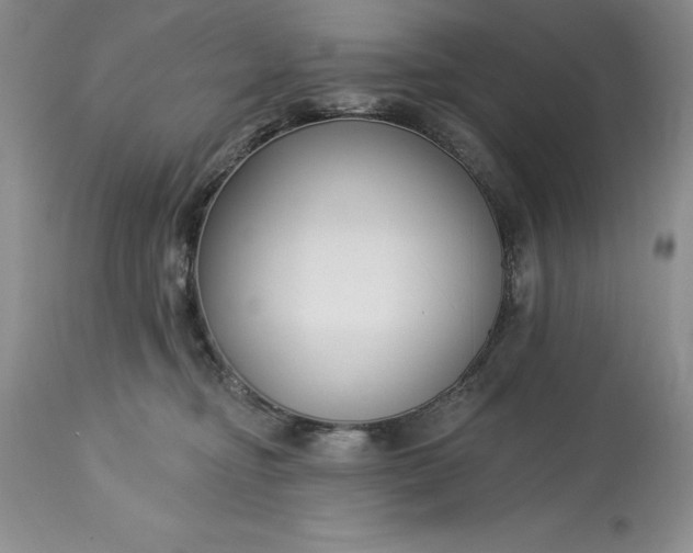 X0000113580374200910021659