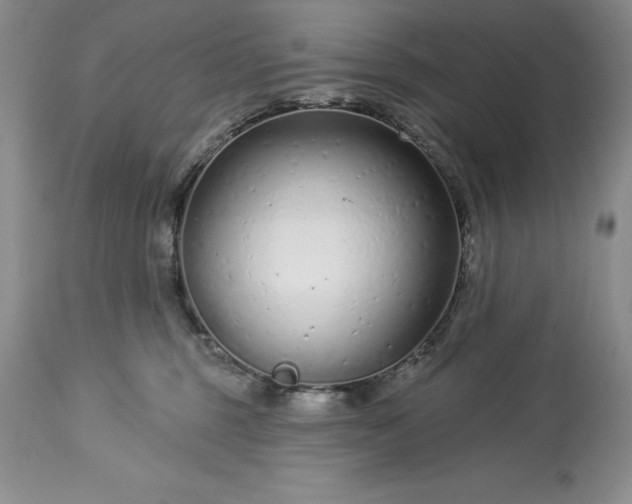 X0000113580375200910021659