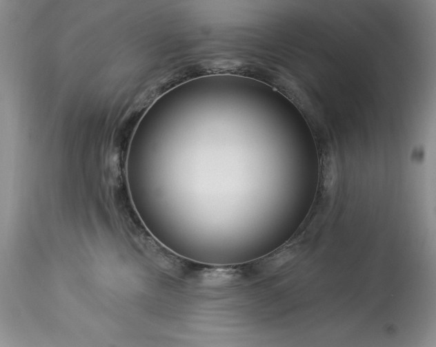 X0000113580378200910021659