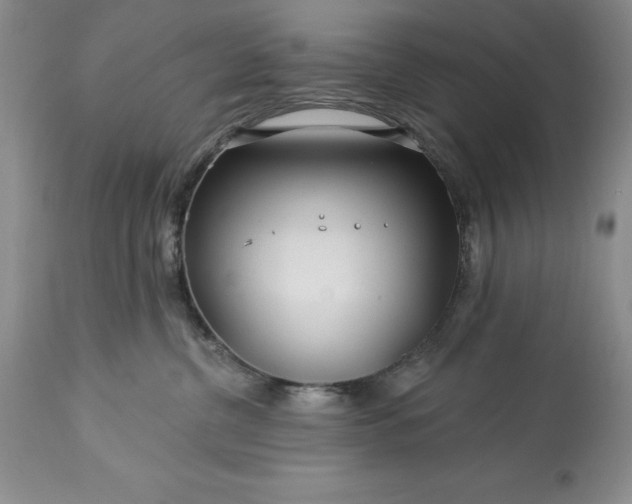 X0000113580380200910021659