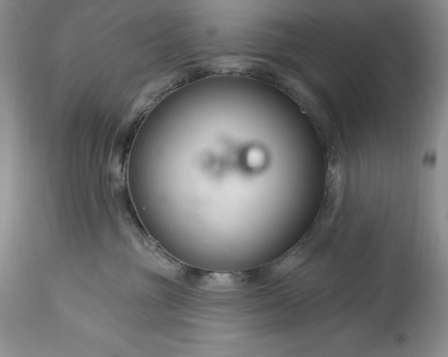 X0000113580381200910021659