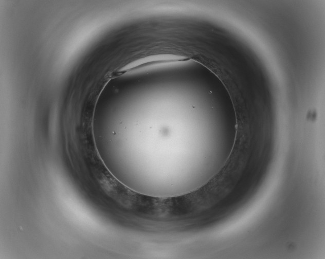 X0000113580382200910021659