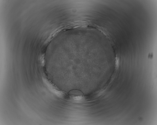 X0000113580383200910021659