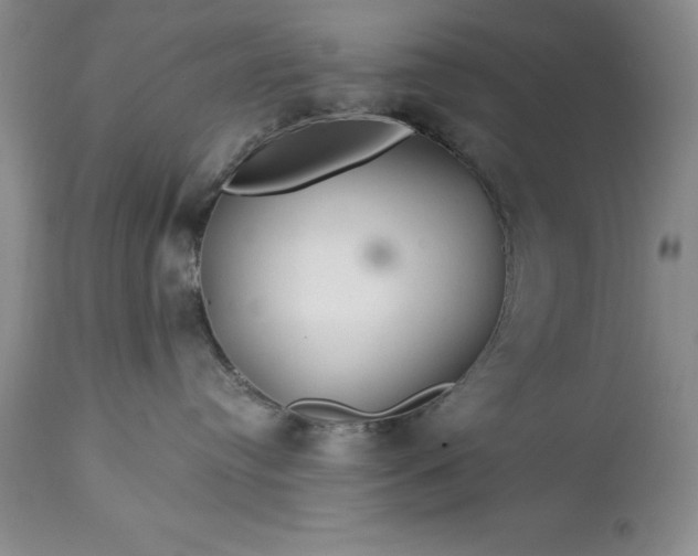 X0000113580384200910021659