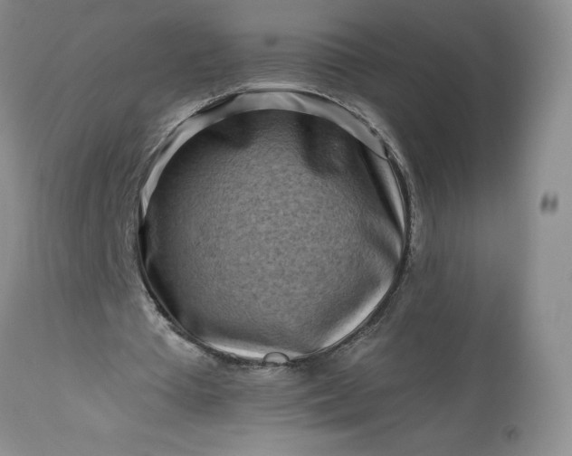 X0000113580385200910021658