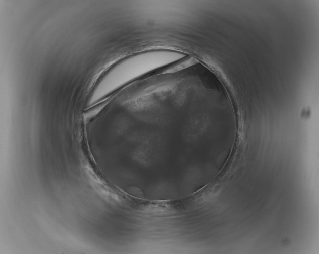 X0000113580386200910021658