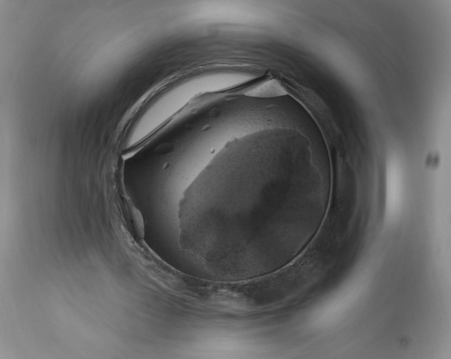 X0000113580387200910021658