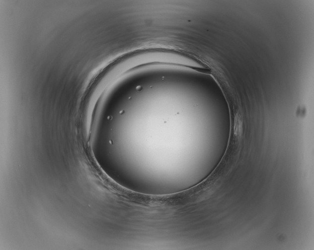 X0000113580388200910021658